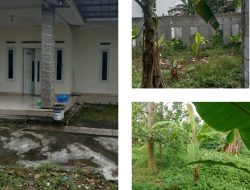 Dijual Rumah dan Kontrakan, Luas Tanah 800 Meter Lokasi Strategis