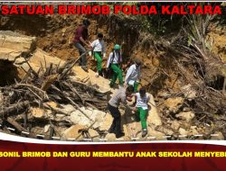 Brimob Polda Kaltara Bangun Kembali Jembatan Putus di Sebatik Demi Kelancaran Akses Pendidikan