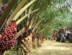 Polemik Inkonsistensi Aktivisme: Pengamat Ingatkan Konsistensi Sikap Kritis dengan Integritas Moral